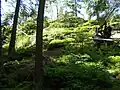 Vintířova skála na Březníku