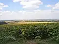 Výhled k západu (červenec 2005)
