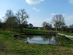 Rybník