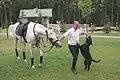 Vladimír Putin se svým oblíbeným psem, labradorem Koni