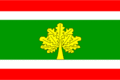 Vlajka obce Bohuslávky