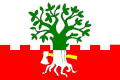 Vlajka obce Buk