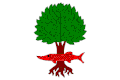 Vlajka obce Litostrov