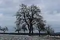 Silnice ve směru na Oslov
