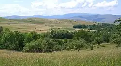 Munții Vlădeasa
