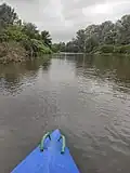 Řeka Odra a v pozadí Rozhledna Hraniční meandry Odry.