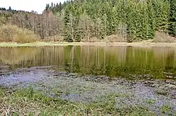 U přehrady Horka