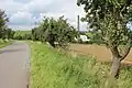 Závod ve Vojenicích