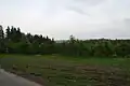 Plocha s mladými stromy v k. ú. Doubrava u Březiny