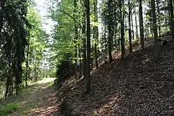 Žíkovec