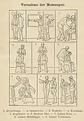 První biometrická měření (Alphonse Bertillon)