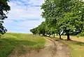 Polní cesta k Radotínku