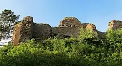 Zřícenina hradu Vrškamýk