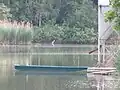 Volavka na rybníce Vražda