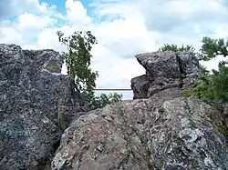 Vrchol