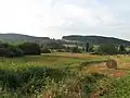 Na hranici s kosenou loukou