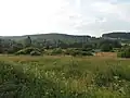 V raním oparu