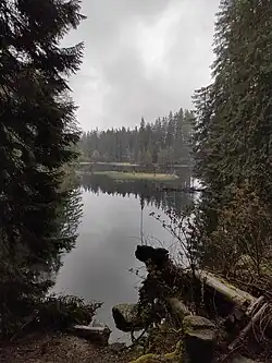 Vrbické pleso
