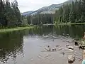 Vrbické pleso