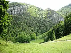 Výhled z vrcholu do doliny