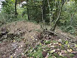 vrchol kopce