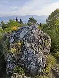 vrchol