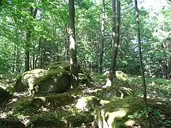 Vrchol Grybly