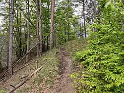 vrchol