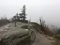 Vrchol hory Ptačí kupy 1013 m n. m