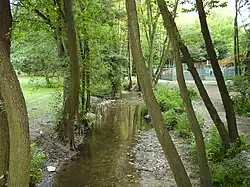Vydrica v oblasti Železné studienky