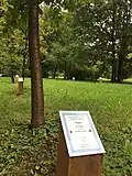 Lesopark umožňuje sázet stromy i široké veřejnosti