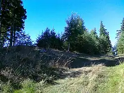 Vrchol Vysoké hory