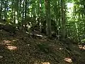 Skála