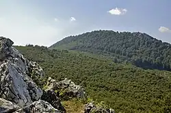 Vysoká od Taricových skal (620 m)