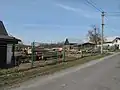 Pila