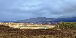 Vřesoviště Rannoch na stezce mezi místy Bridge of Orchy a Kingshouse