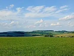 Wachberg uprostřed