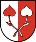 Kössen – znak