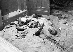 Civilians burned by German Army