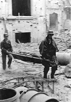 Medikové