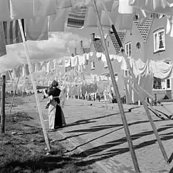 Mycí linky ve Volendamu, 1959
