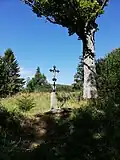 Na cestě z Bučiny na Knížecí Pláně (Šumava)