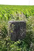 Wayside stone near road II 405 in Petrovice, Třebíč District.JPG