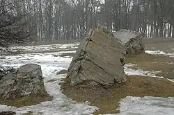 Zbytky betonových staveb