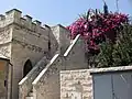 Architektura a vegetace v Jemin Moše