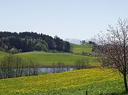 Siggenhauský rybník u Amtzellu v západním Allgäu