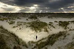Krajina u De Panne