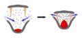 Způsob filtrování potravy pomocí kostic.