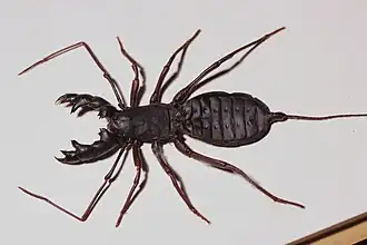 alternativní popis obrázku chybí