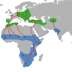Mapa zobrazující Evropu a Afriku, na které jsou zakresleny šipky ve směru čapí migrace vesměs z Evropy do Afriky